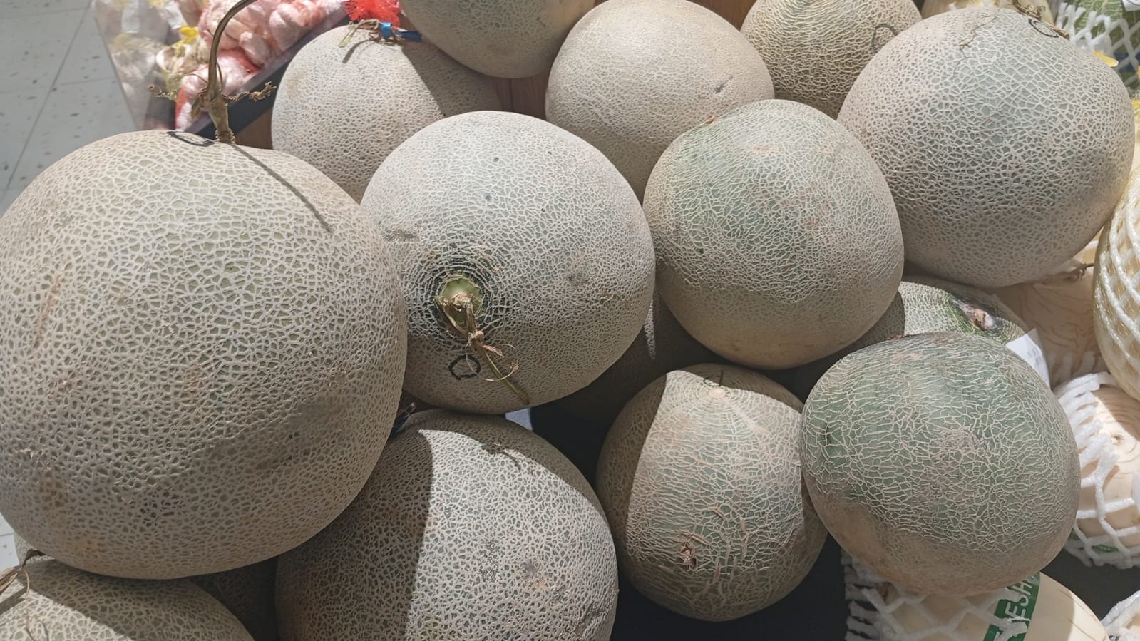 Melon